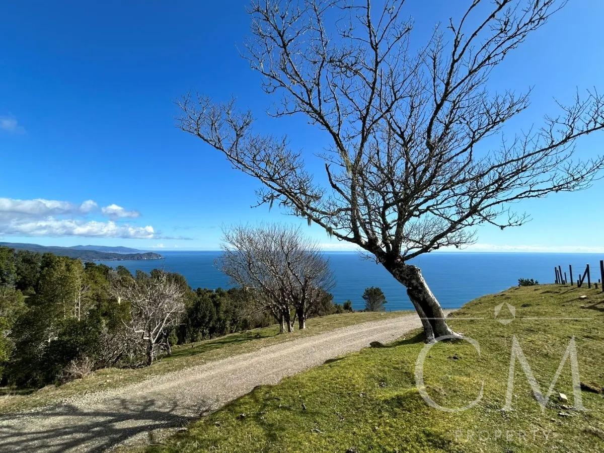 Parcela en Parque la Ballena 