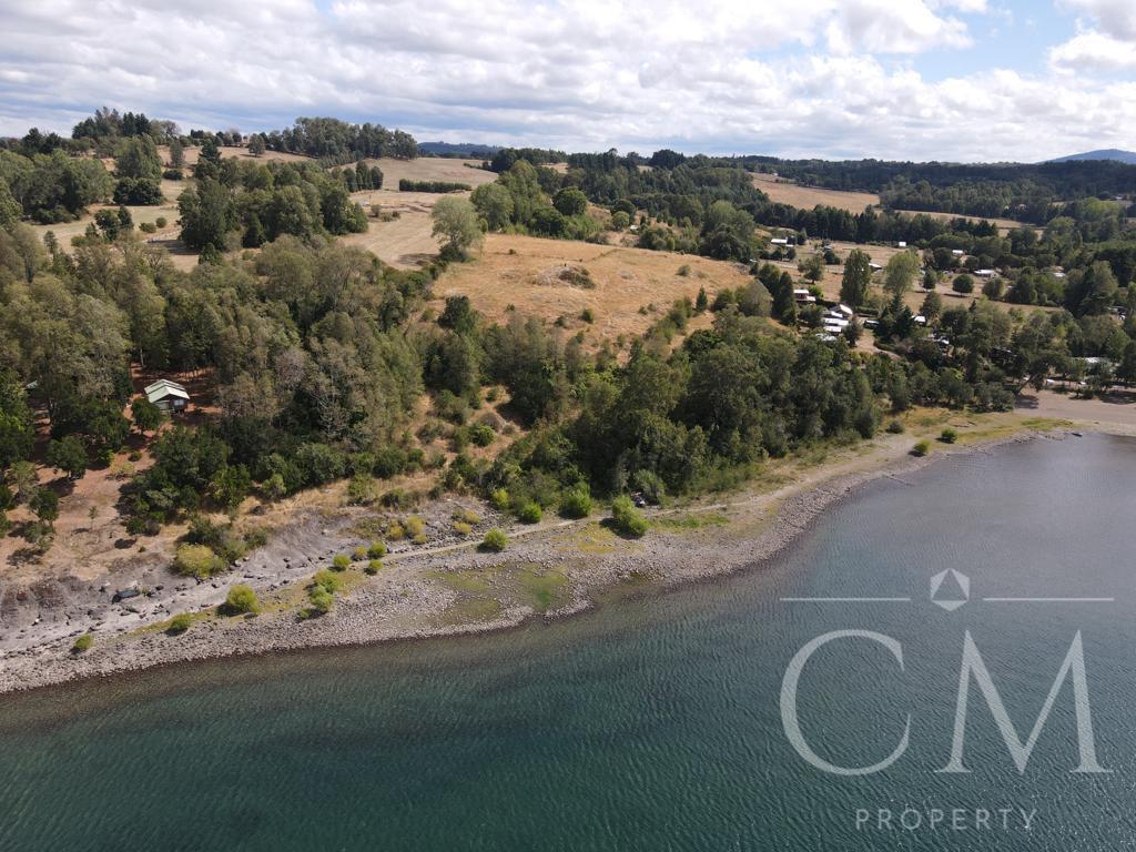 Terreno primera linea Lago Panguipulli 