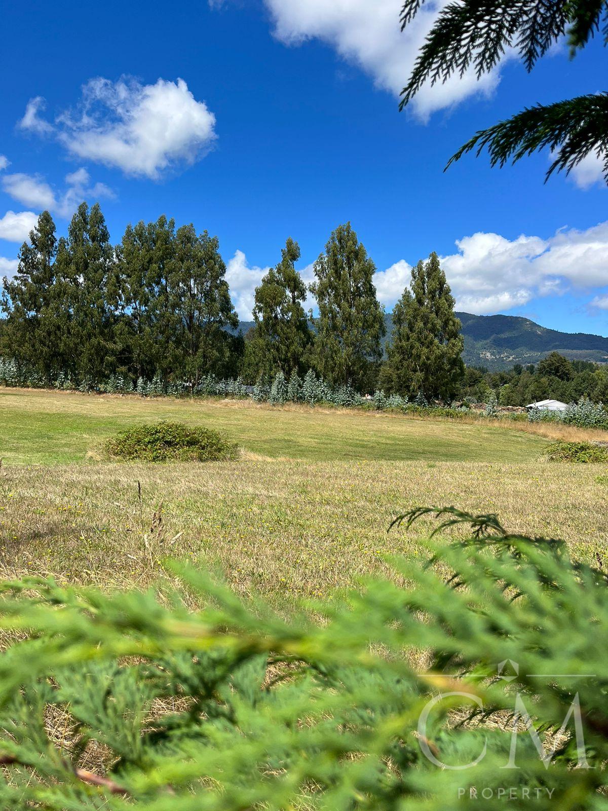 Venta de Parcelas 1,6 Hás en Panguipulli 